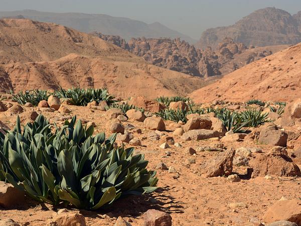 Jordan hiking holiday, Petra to Wadi Rum