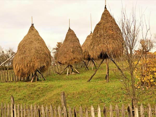 Romania tailormade tour, religion, arts & crafts
