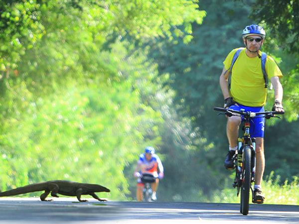 Sri Lanka highlights cycling holiday