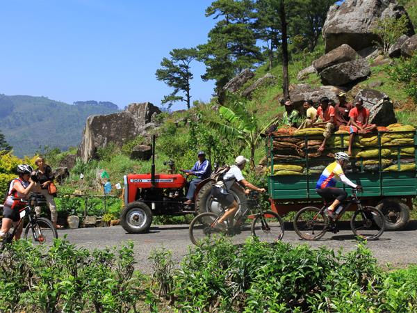 Sri Lanka highlights cycling holiday
