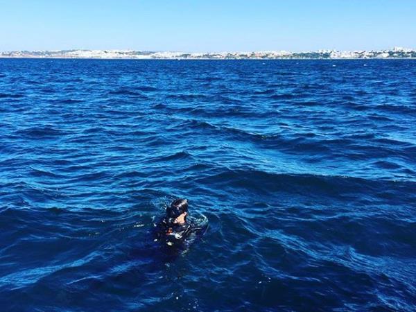 Marine conservation holiday in Portugal