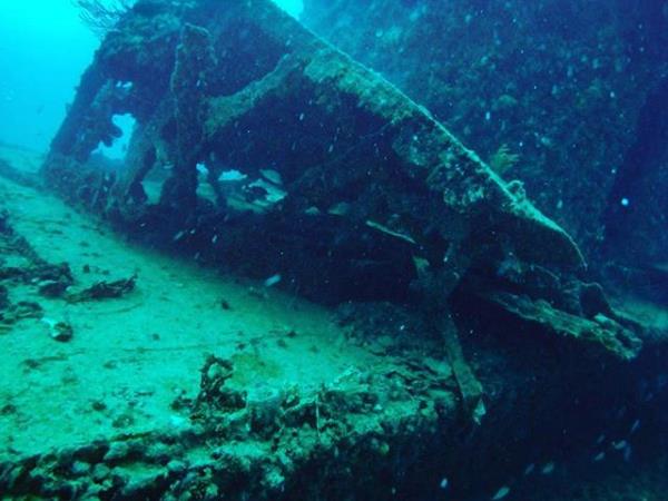 Marine conservation holiday in Portugal