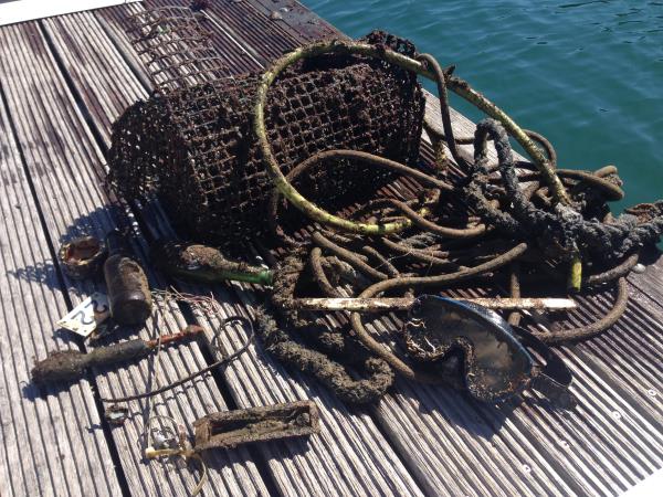 Marine conservation holiday in Portugal