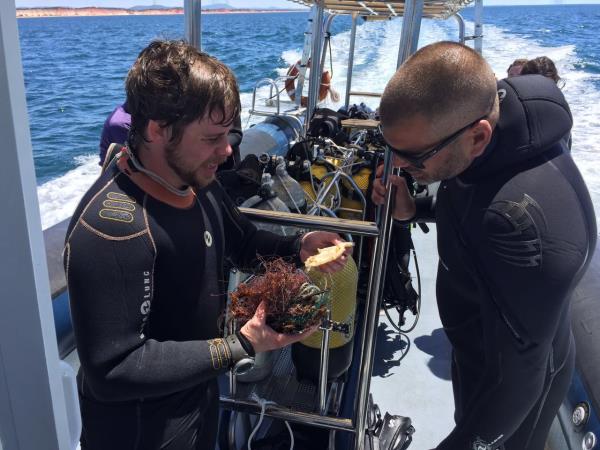 Marine conservation holiday in Portugal