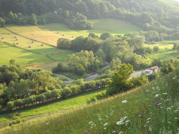 Horse riding holidays in Transylvania