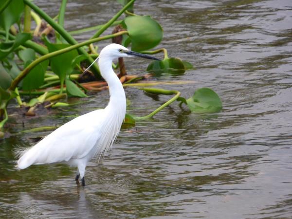 Culture and birding holiday in Uganda