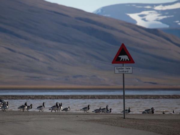 Svalbard luxury cruise in the Arctic