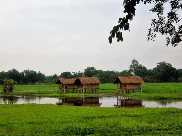 North East India tour, Nagaland & the Hornbill Festival