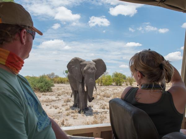 Botswana lodge & camping safari