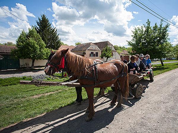 Transylvania cycling holiday in Romania