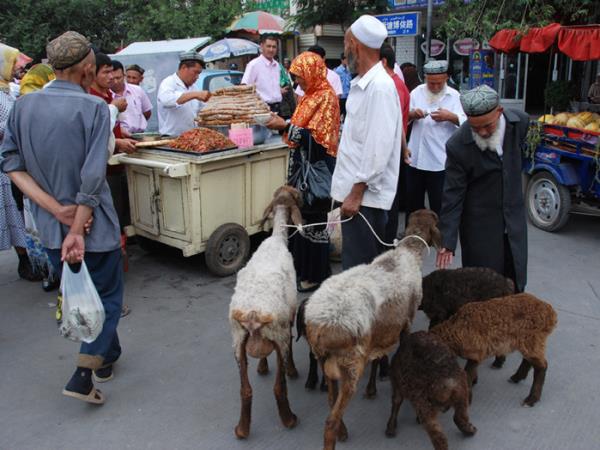 China Silk Road tour