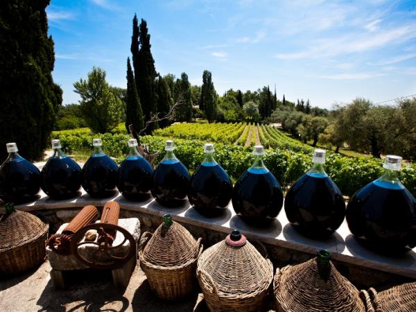 South of France cooking holiday