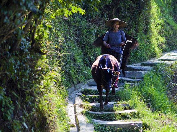 Trekking and cultural tour of China