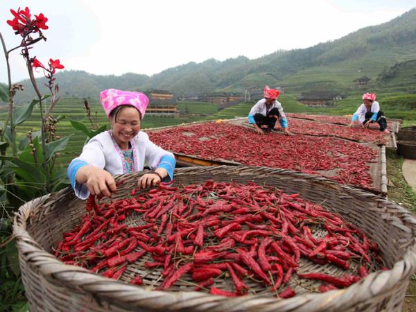 Trekking and cultural tour of China