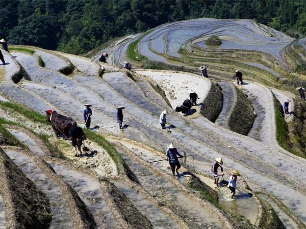 Trekking and cultural tour of China