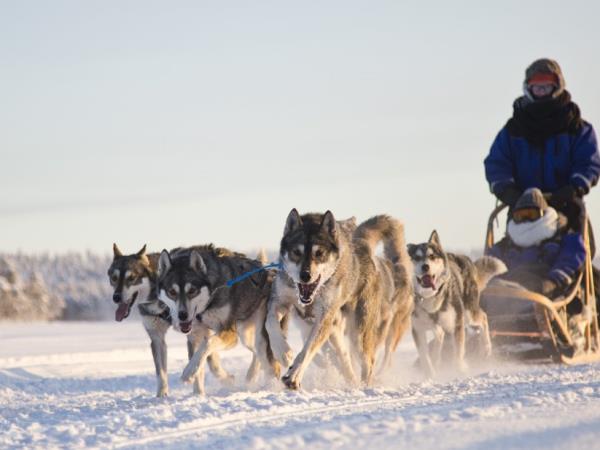 Northern Lights short break, Finnish Lapland