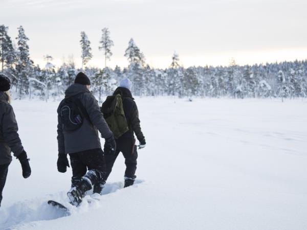 Northern Lights short break, Finnish Lapland