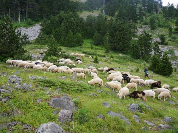 Montenegro hiking holiday, mountain expedition