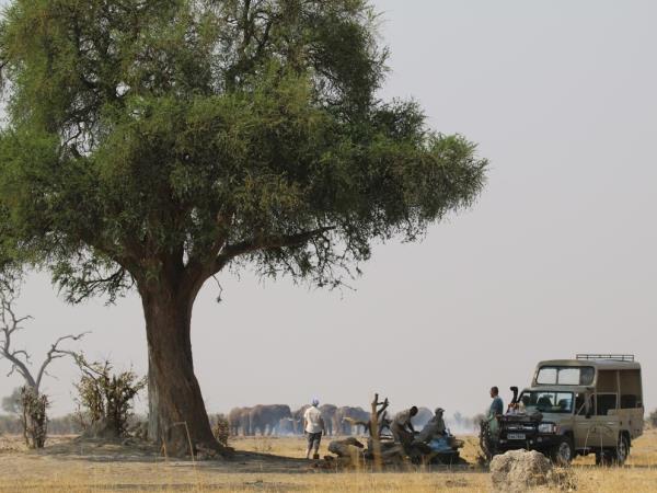 Botswana lodge & camping safari