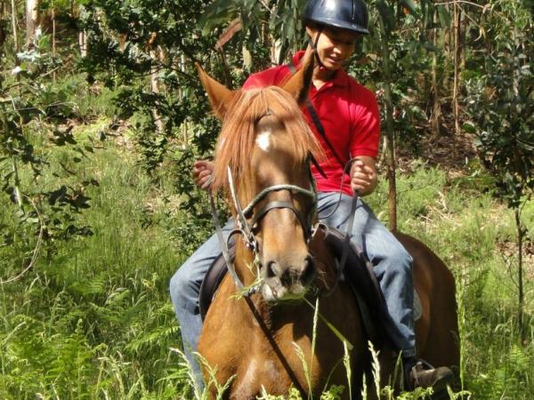 Horse riding holiday in Portugal