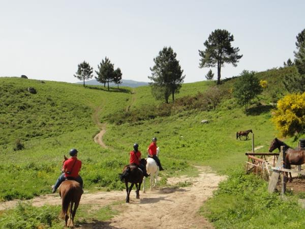 Horse riding holiday in Portugal
