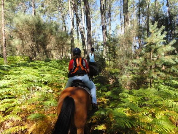 Horse riding holiday in Portugal