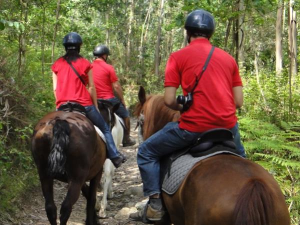 Horse riding holiday in Portugal