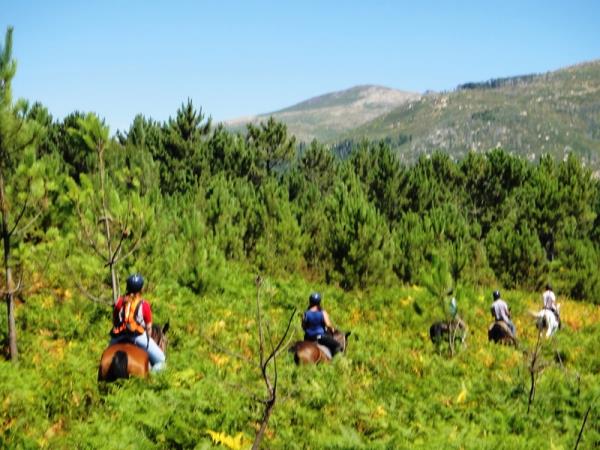 Horse riding holiday in Portugal