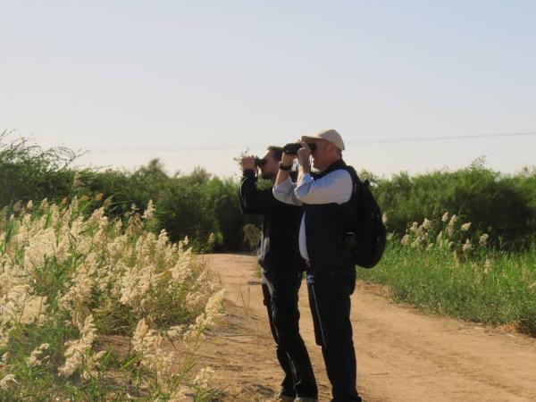 Jordan bird watching tour