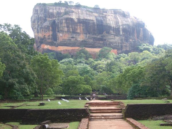 Sri Lanka wildlife and culture holiday