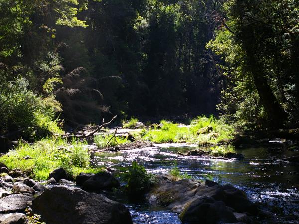 Chile tailor made tours, volcanos & National Parks