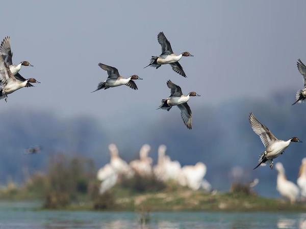 India Golden Triangle tour, a journey beyond