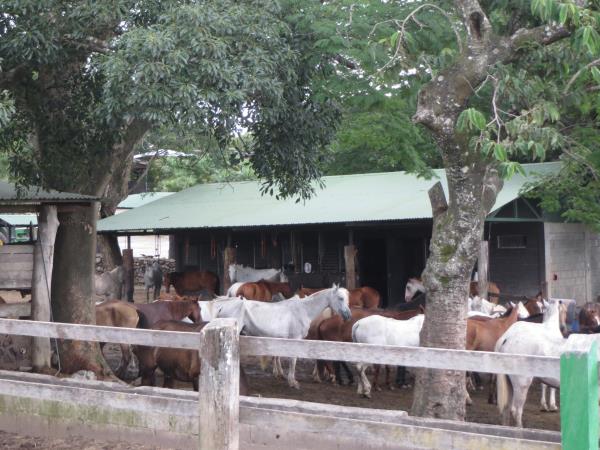 Activity and nature holiday in Costa Rica