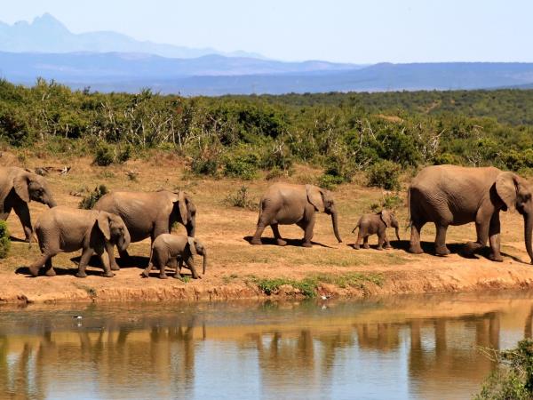 South Africa family adventure holiday, tailor made
