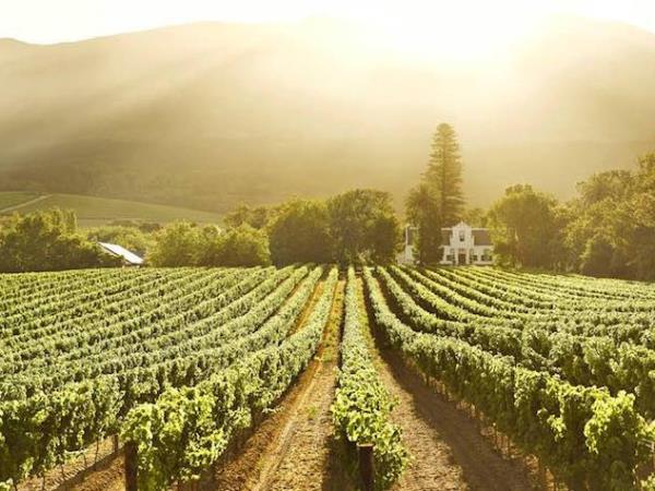 South Africa honeymoon, self drive