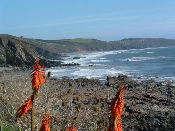 South West Coastal Path walking holiday, England