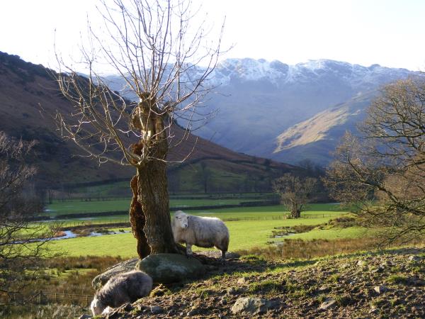 Cumbria Way walking holiday, Lake District