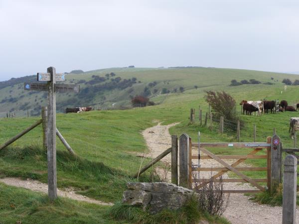 South Downs Way walking holiday, England