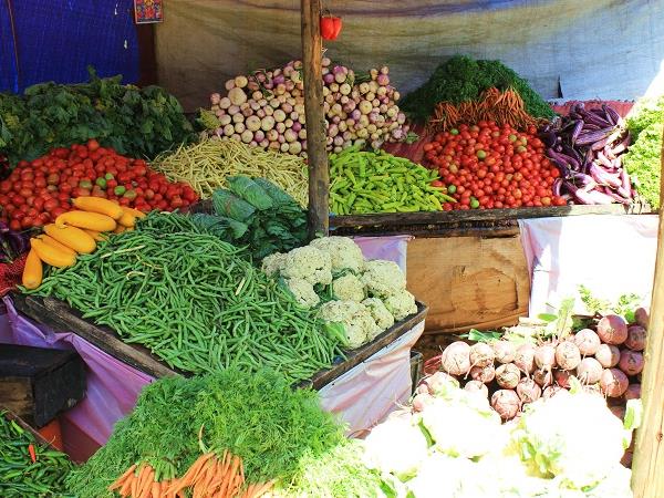 Sri Lanka highlights tour, tailor made