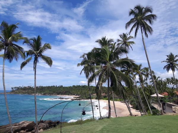 Sri Lanka highlights tour, tailor made
