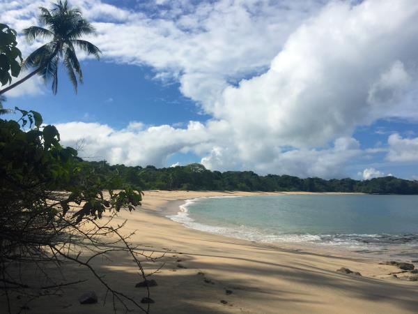 Desert island survival adventure, Panama