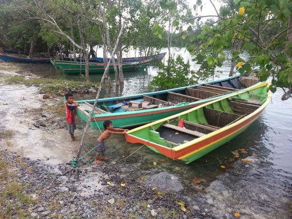 Sarawak rainforest cycling tour, Borneo