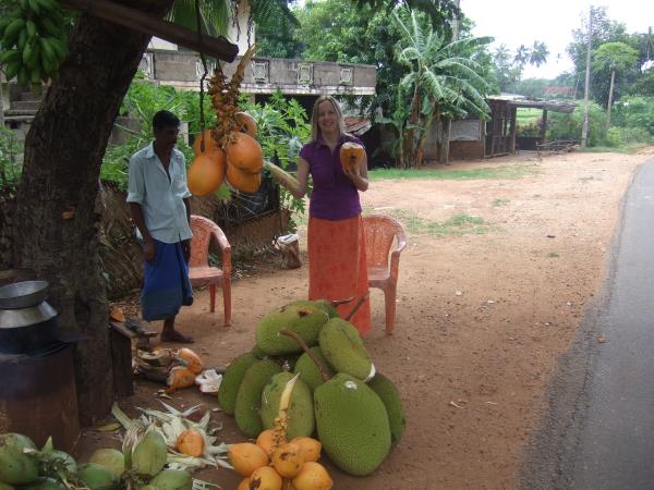 North Sri Lanka holiday, tailor made