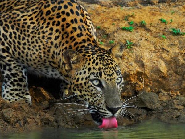 North Sri Lanka holiday, tailor made
