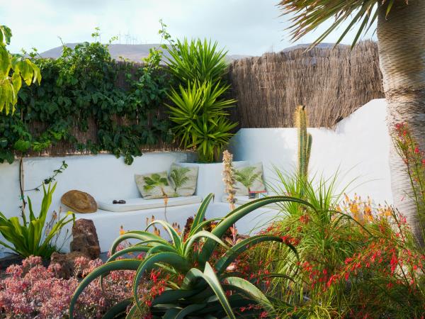 Lanzarote garden apartment, self catering for 2