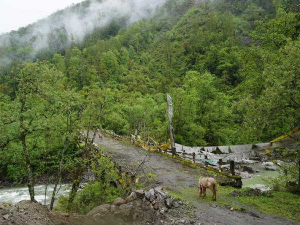 Tibet pilgrimage trekking tour
