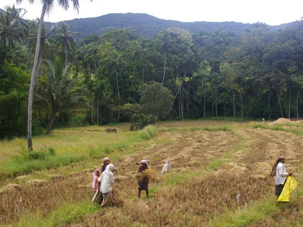 Sri Lanka family tour