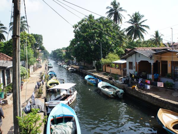 Sri Lanka family tour