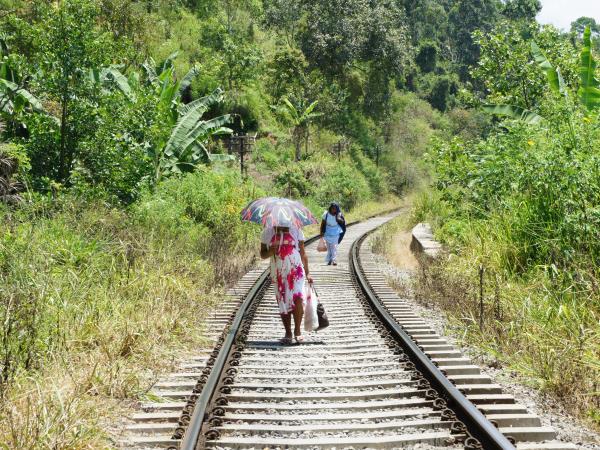 Sri Lanka family tour