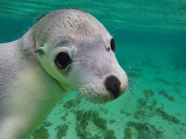 Adelaide to Perth tour, Australia